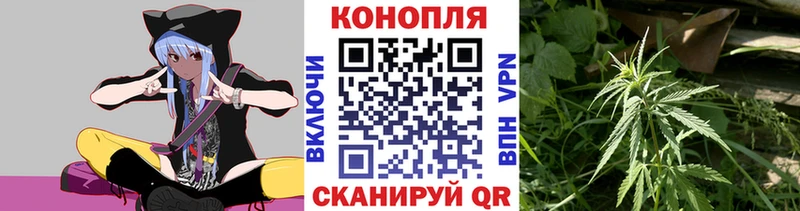 Бошки Шишки гибрид  Сим 